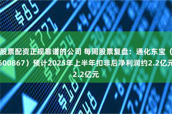 股票配资正规靠谱的公司 每周股票复盘：通化东宝（600867）预计2025年上半年扣非后净利润约2.2亿元
