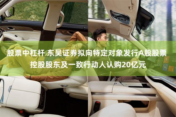 股票中杠杆 东吴证券拟向特定对象发行A股股票 控股股东及一致行动人认购20亿元