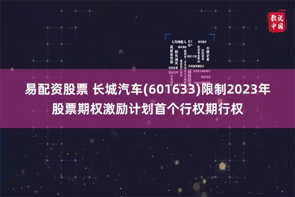 易配资股票 长城汽车(601633)限制2023年股票期权激励计划首个行权期行权