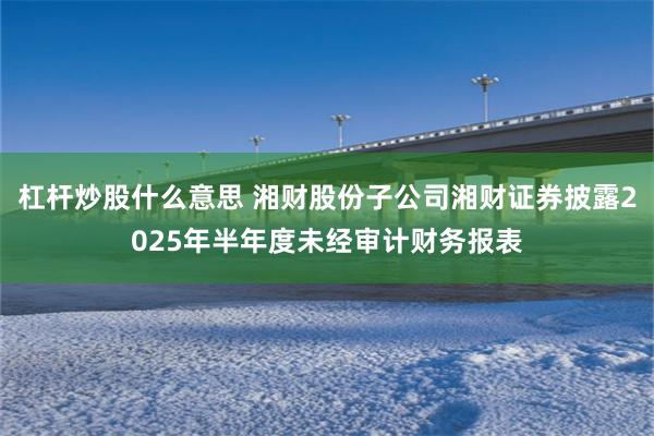 杠杆炒股什么意思 湘财股份子公司湘财证券披露2025年半年度未经审计财务报表