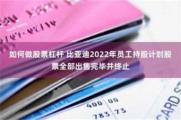 如何做股票杠杆 比亚迪2022年员工持股计划股票全部出售完毕并终止