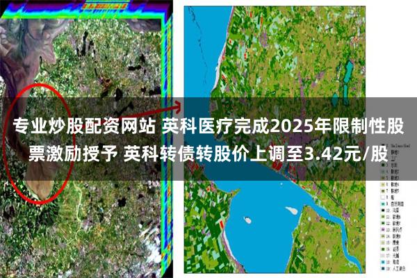 专业炒股配资网站 英科医疗完成2025年限制性股票激励授予 英科转债转股价上调至3.42元/股