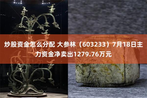 炒股资金怎么分配 大参林（603233）7月18日主力资金净卖出1279.76万元
