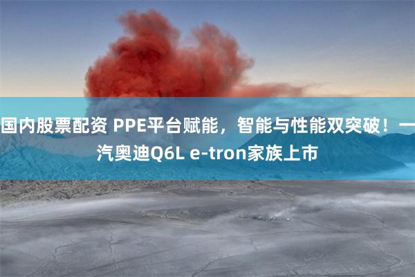 国内股票配资 PPE平台赋能，智能与性能双突破！一汽奥迪Q6L e-tron家族上市