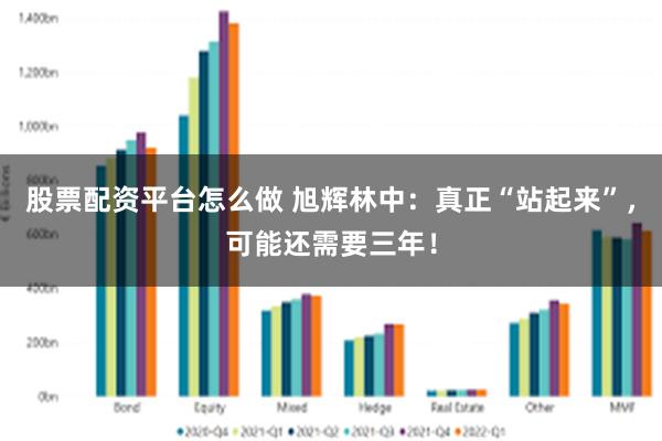 股票配资平台怎么做 旭辉林中：真正“站起来”，可能还需要三年！