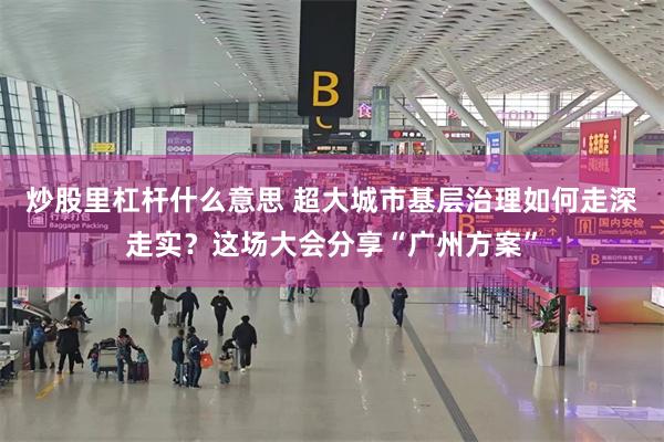 炒股里杠杆什么意思 超大城市基层治理如何走深走实？这场大会分享“广州方案”