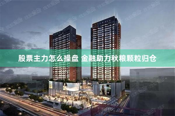 股票主力怎么操盘 金融助力秋粮颗粒归仓