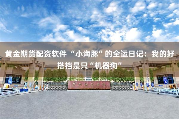 黄金期货配资软件 “小海豚”的全运日记：我的好搭档是只“机器狗”