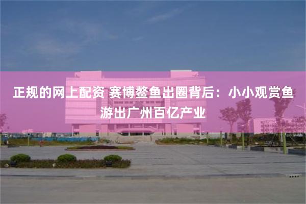 正规的网上配资 赛博鳌鱼出圈背后：小小观赏鱼游出广州百亿产业