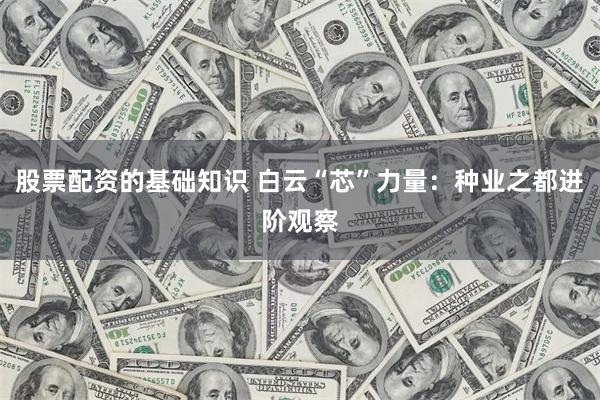 股票配资的基础知识 白云“芯”力量:种业之都进阶观察
