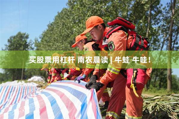 买股票用杠杆 南农晨读 | 牛蛙 牛哇！
