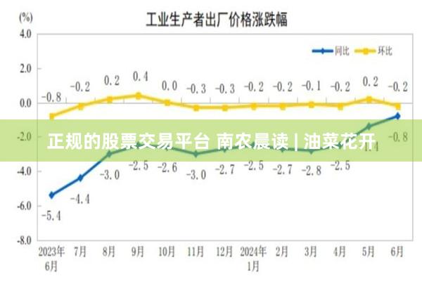正规的股票交易平台 南农晨读 | 油菜花开