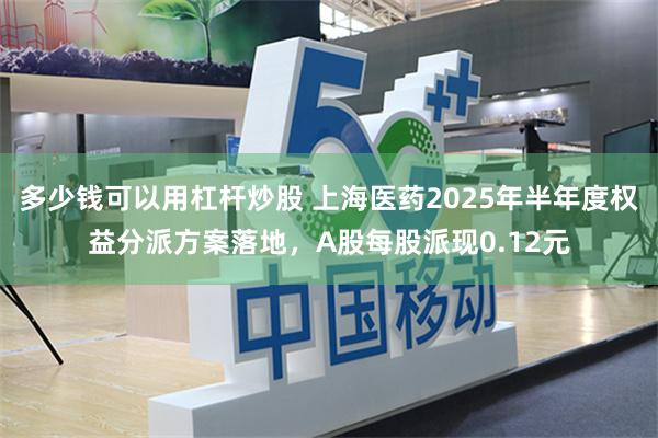多少钱可以用杠杆炒股 上海医药2025年半年度权益分派方案落地，A股每股派现0.12元