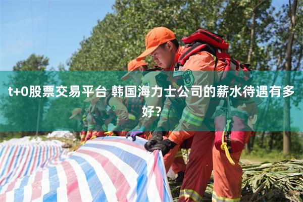 t+0股票交易平台 韩国海力士公司的薪水待遇有多好？