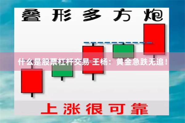 什么是股票杠杆交易 王杨：黄金急跌无追！