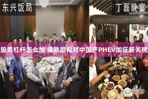 股票杠杆怎么加 曝欧盟拟对中国产PHEV加征新关税