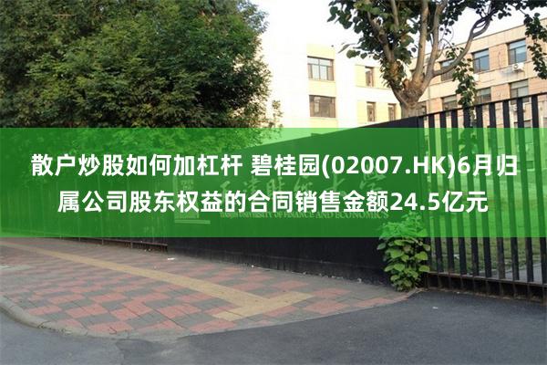散户炒股如何加杠杆 碧桂园(02007.HK)6月归属公司股东权益的合同销售金额24.5亿元