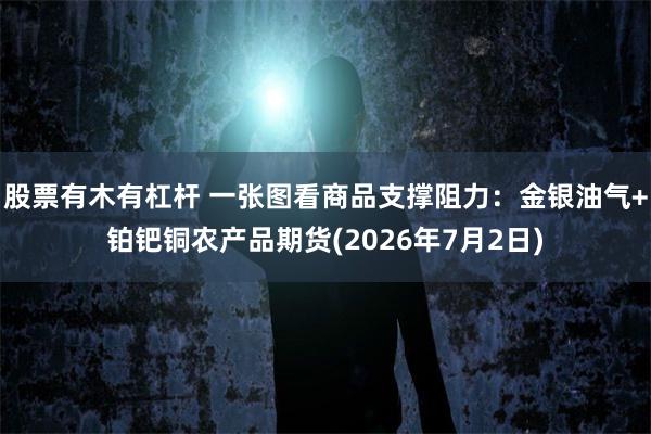 股票有木有杠杆 一张图看商品支撑阻力：金银油气+铂钯铜农产品期货(2026年7月2日)
