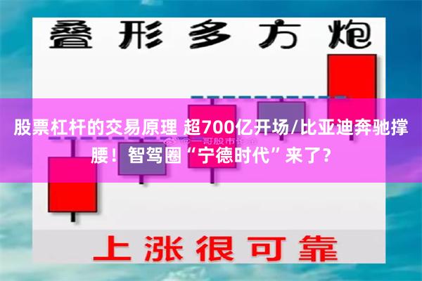 股票杠杆的交易原理 超700亿开场/比亚迪奔驰撑腰！智驾圈“宁德时代”来了？
