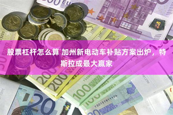 股票杠杆怎么算 加州新电动车补贴方案出炉，特斯拉成最大赢家