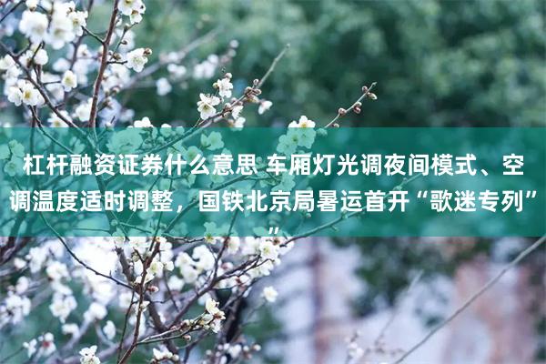 杠杆融资证券什么意思 车厢灯光调夜间模式、空调温度适时调整，国铁北京局暑运首开“歌迷专列”
