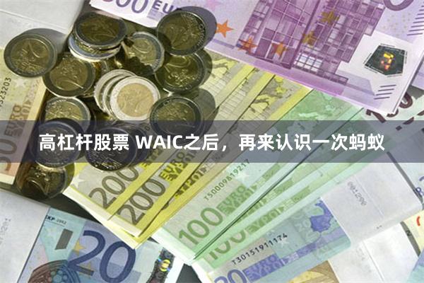 高杠杆股票 WAIC之后，再来认识一次蚂蚁