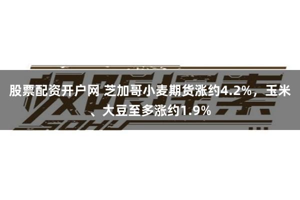 股票配资开户网 芝加哥小麦期货涨约4.2%，玉米、大豆至多涨约1.9%