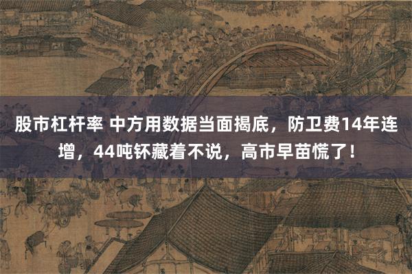 股市杠杆率 中方用数据当面揭底，防卫费14年连增，44吨钚藏着不说，高市早苗慌了！