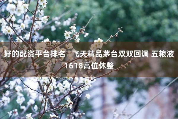 好的配资平台排名   飞天精品茅台双双回调 五粮液1618高位休整