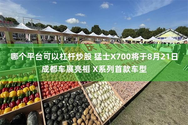 哪个平台可以杠杆炒股 猛士X700将于8月21日成都车展亮相 X系列首款车型